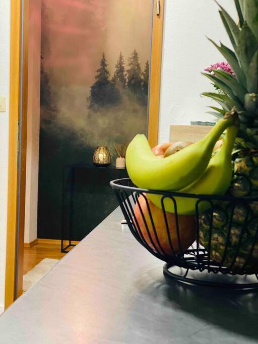 Ruhige Wohnung Im Schwarzwald Villingen-Schwenningen Eksteriør billede